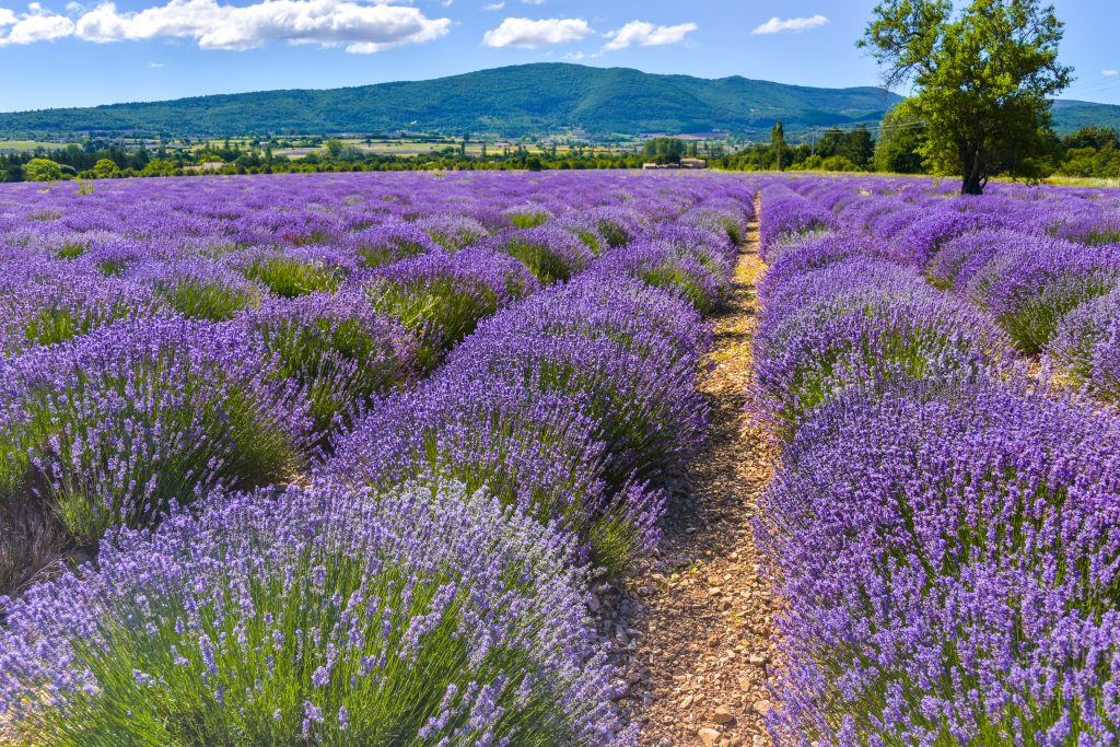Où partir en France avec un van ?