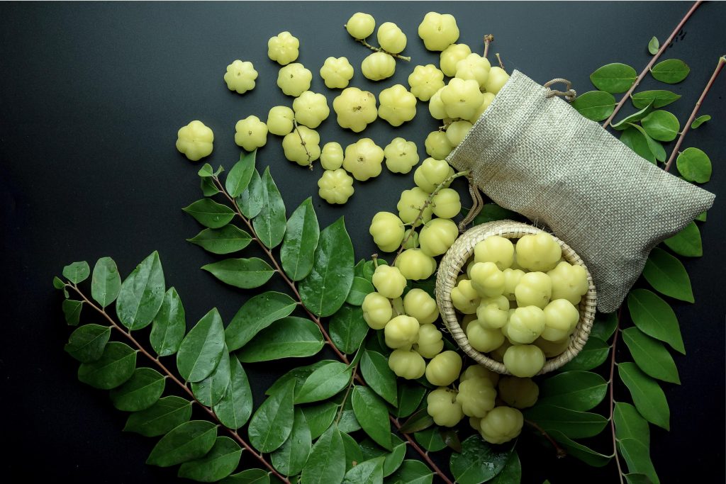 La groseille étoilée : découvrez le superfruit exotique