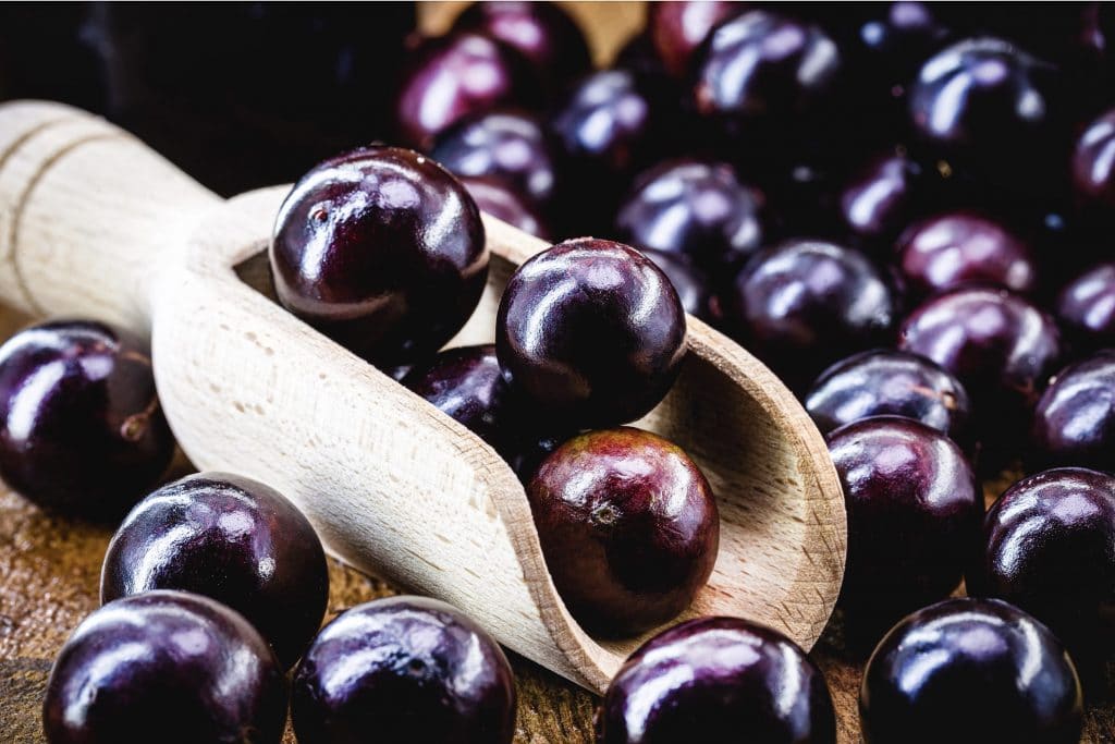 Jaboticaba fruit méconnu