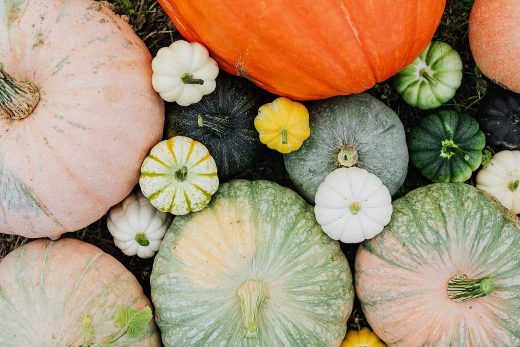 Quels sont les fruits et légumes d'automne ? Le calendrier pour manger de saison