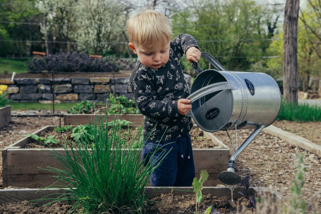 type de garde d'enfant le jardin d'éveil