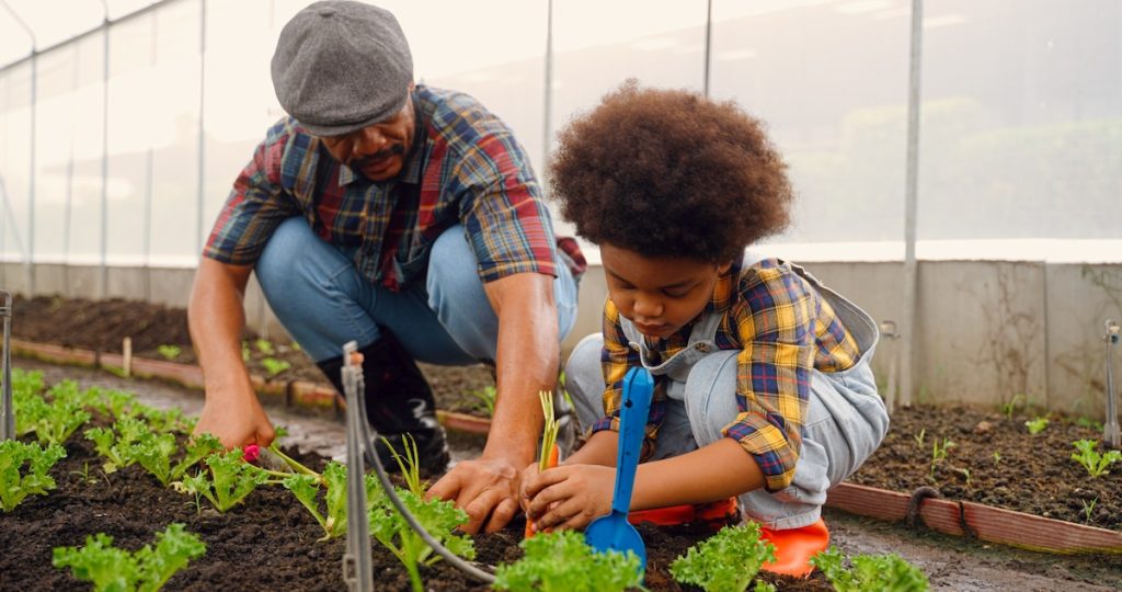 Un adulte et un enfant s'adonnent au jardinage ensemble dans une serre, plantant des plants dans le sol tout en portant des vêtements décontractés et des chemises à carreaux, créant une atmosphère d'éveil des sens et d'apprentissage partagé.