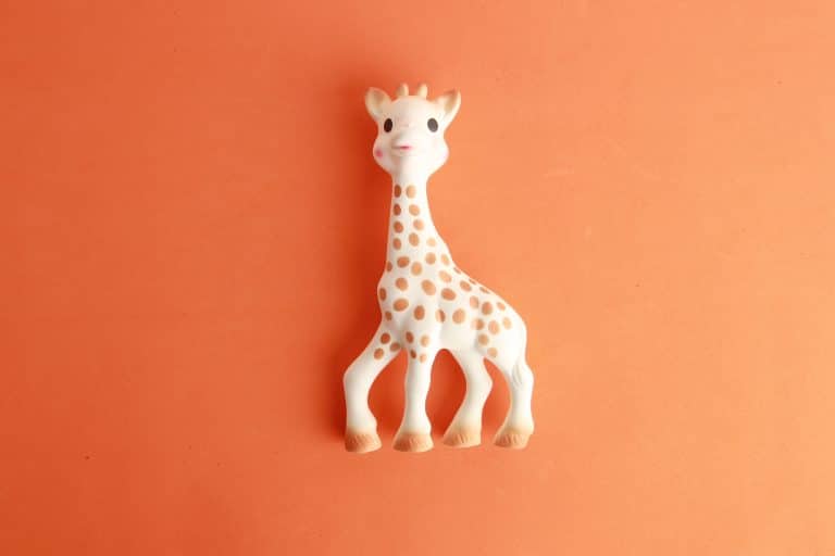 Sophie la girafe : quelle est la polémique autour du jouet ? - Girafe