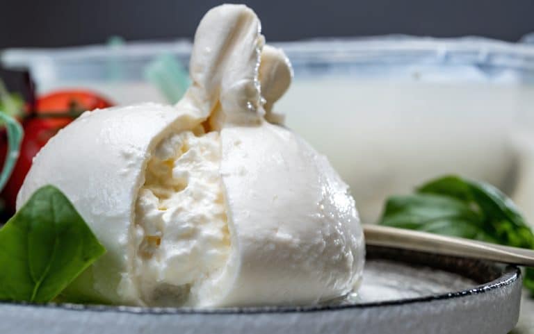 Peut-on manger de la Burrata enceinte ?