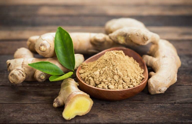 Nausées de grossesse : comment bien utiliser le gingembre ?
