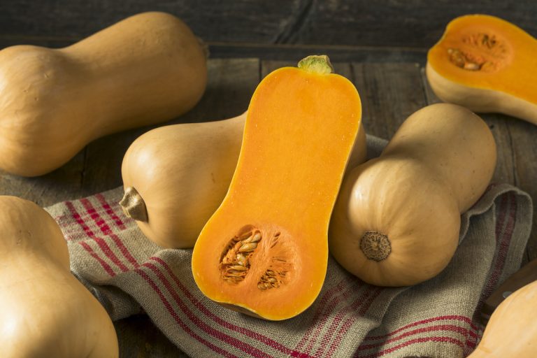 Peut-on manger de la courge butternut enceinte ?