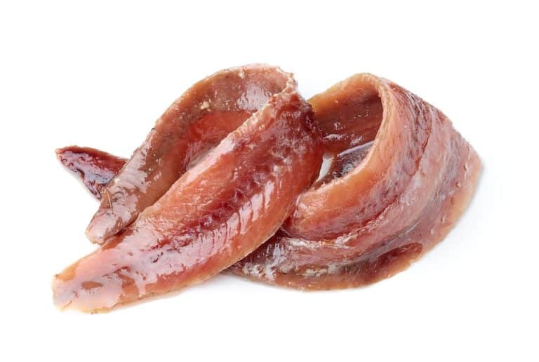 Peut-on manger des anchois enceinte ?
